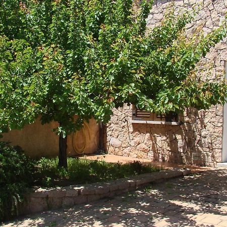 Bella Casa Con Giardino A 10 Minuti Dal Mare Apartment Алиенту Екстериор снимка