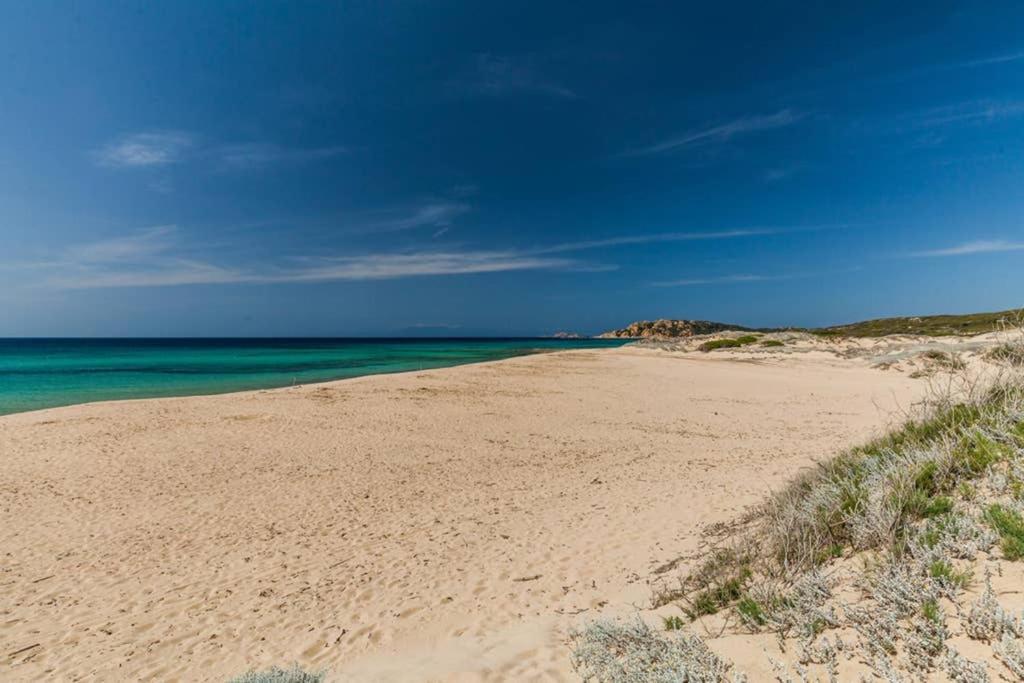 Bella Casa Con Giardino A 10 Minuti Dal Mare Apartment Алиенту Екстериор снимка