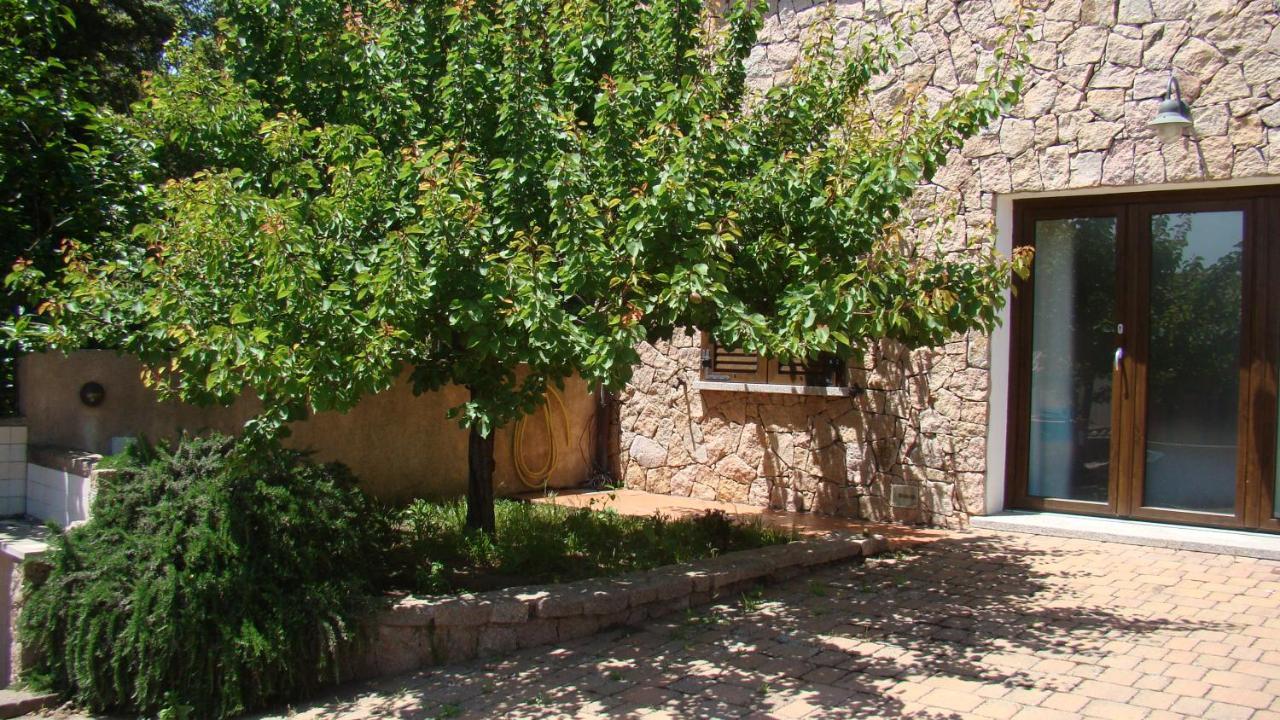 Bella Casa Con Giardino A 10 Minuti Dal Mare Apartment Алиенту Екстериор снимка