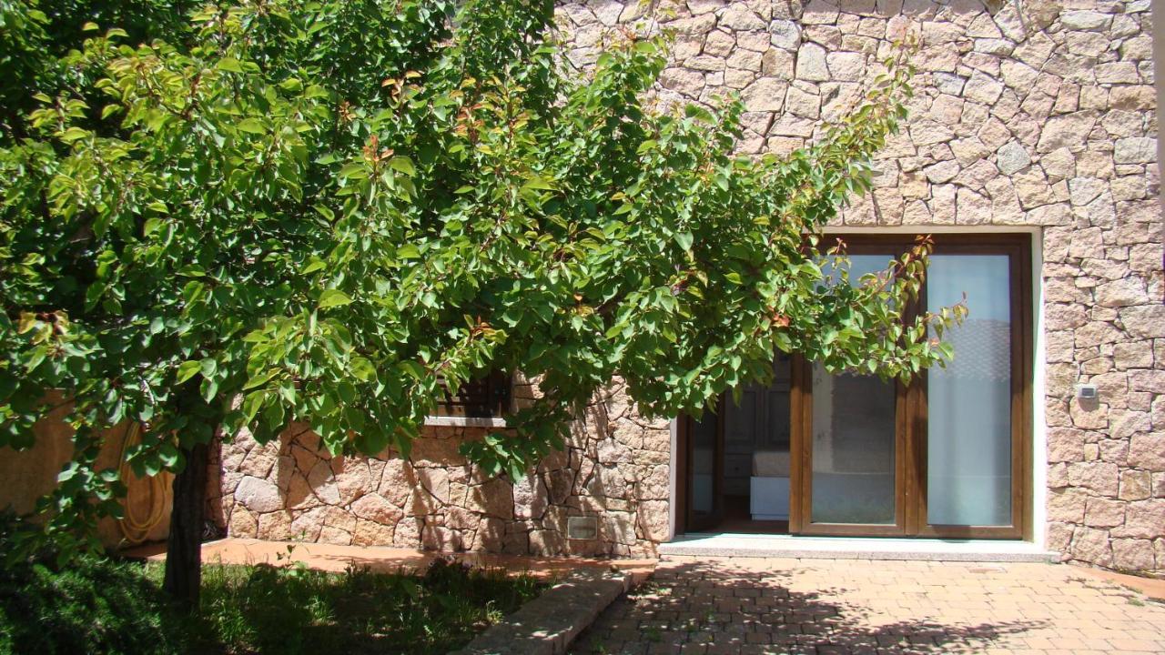 Bella Casa Con Giardino A 10 Minuti Dal Mare Apartment Алиенту Екстериор снимка